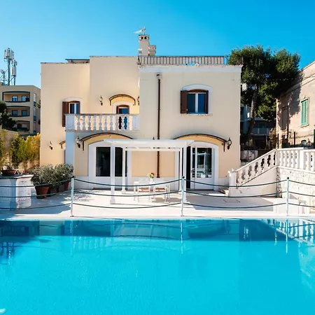 Donna Franca By Sthey